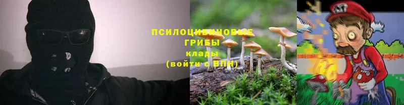 где можно купить наркотик  blacksprut tor  Галлюциногенные грибы Psilocybe  дарк нет официальный сайт  Мичуринск 